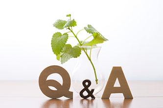 Q&A